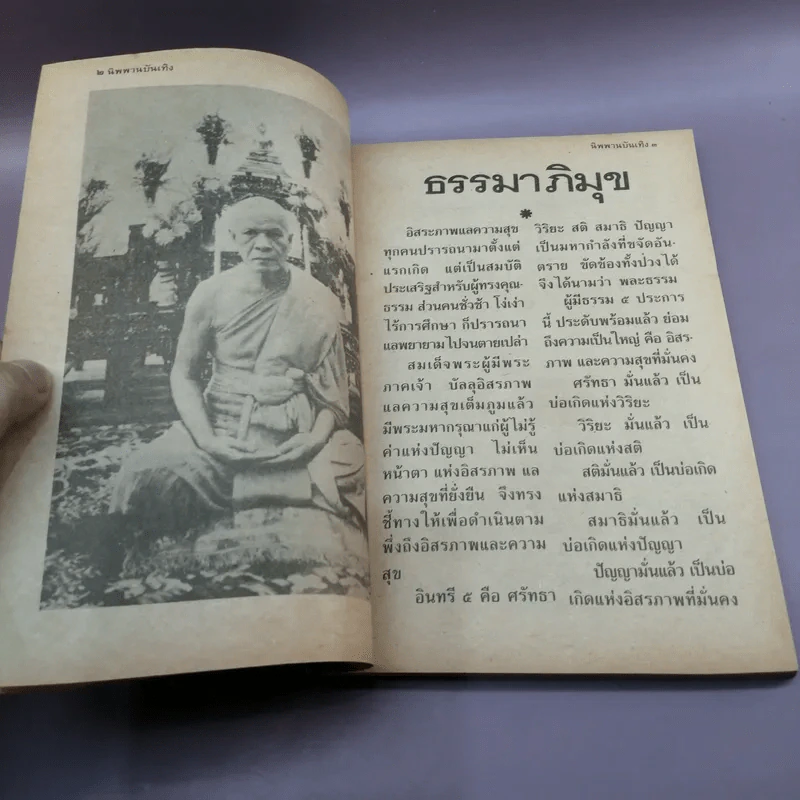 นิพพานบันเทิง - แพรเยื่อไม้ รูปที่ 7
