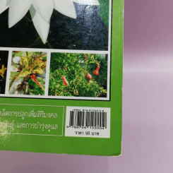 ปลูกพรรณไม้มงคลเสริมดวงชะตาชีวิต รูปที่ 14