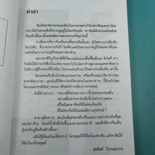 ที่สุดของเมืองจีน - สุขสันต์ วิเวกเมธากร รูปที่ 8