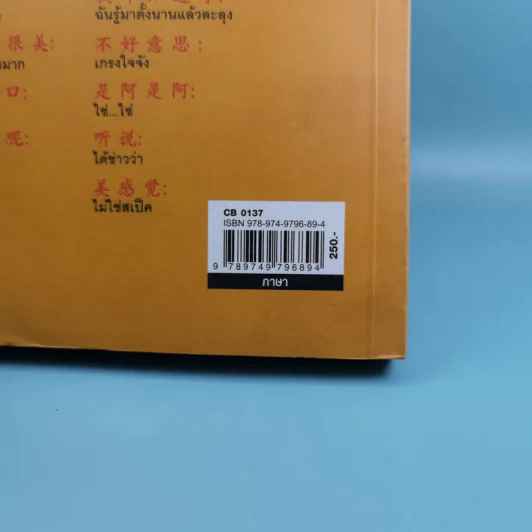 คำฮิตติดปากจีนกลาง - สุภาณี ปิยพสุนทรา รูปที่ 3