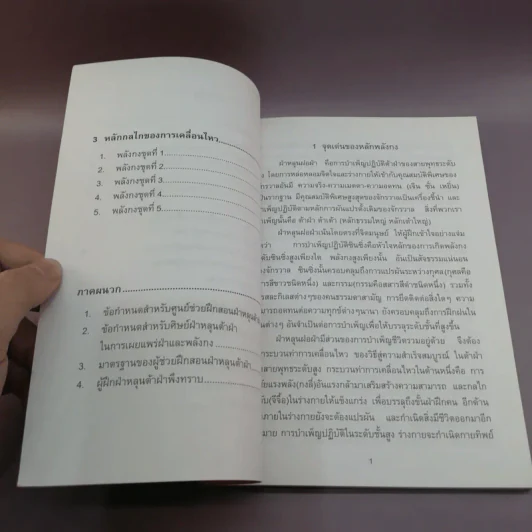 ฝ่าหลุนฝอฝ่า วิธีสู่ความสำเร็จสมบูรณ์ - หลี่ หงจื้อ รูปที่ 11