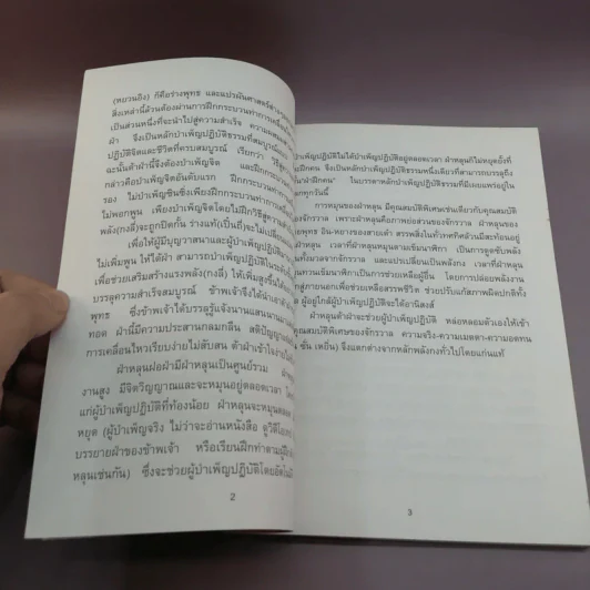 ฝ่าหลุนฝอฝ่า วิธีสู่ความสำเร็จสมบูรณ์ - หลี่ หงจื้อ รูปที่ 12