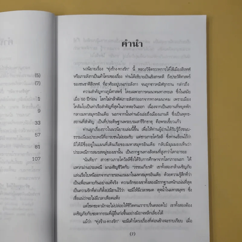 ทุ่งร้าง-ทางรัก - พลตรี หลวงวิจิตรวาทการ รูปที่ 13