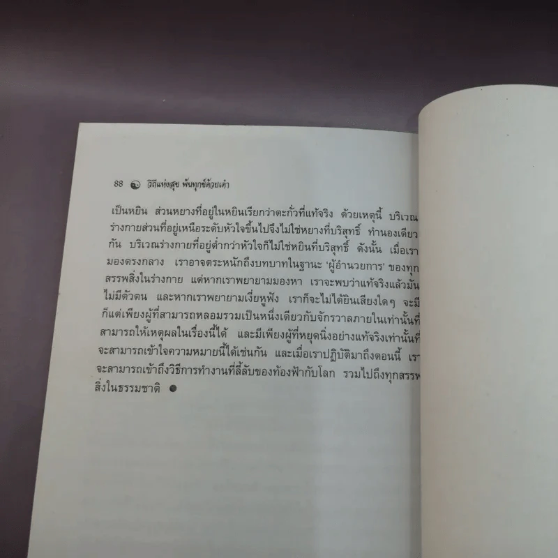 วิถีแห่งสุขพ้นทุกข์ด้วยเต๋า - ศักดิ์ บวร รูปที่ 12