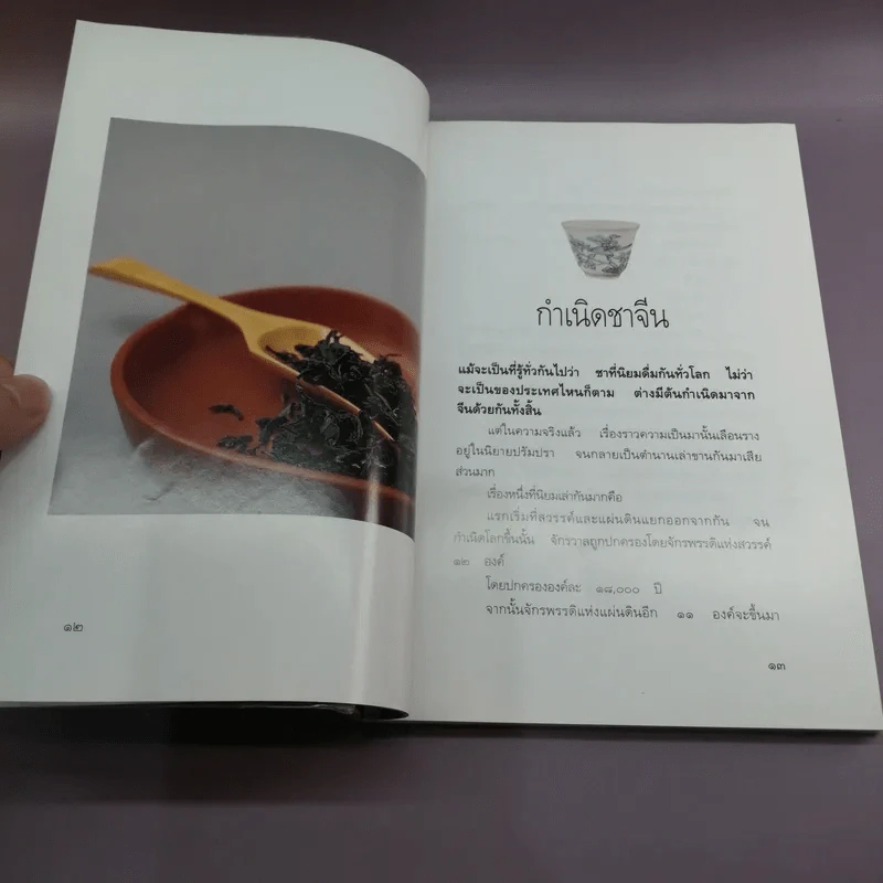 ระบำชา - อ๋อง รูปที่ 13