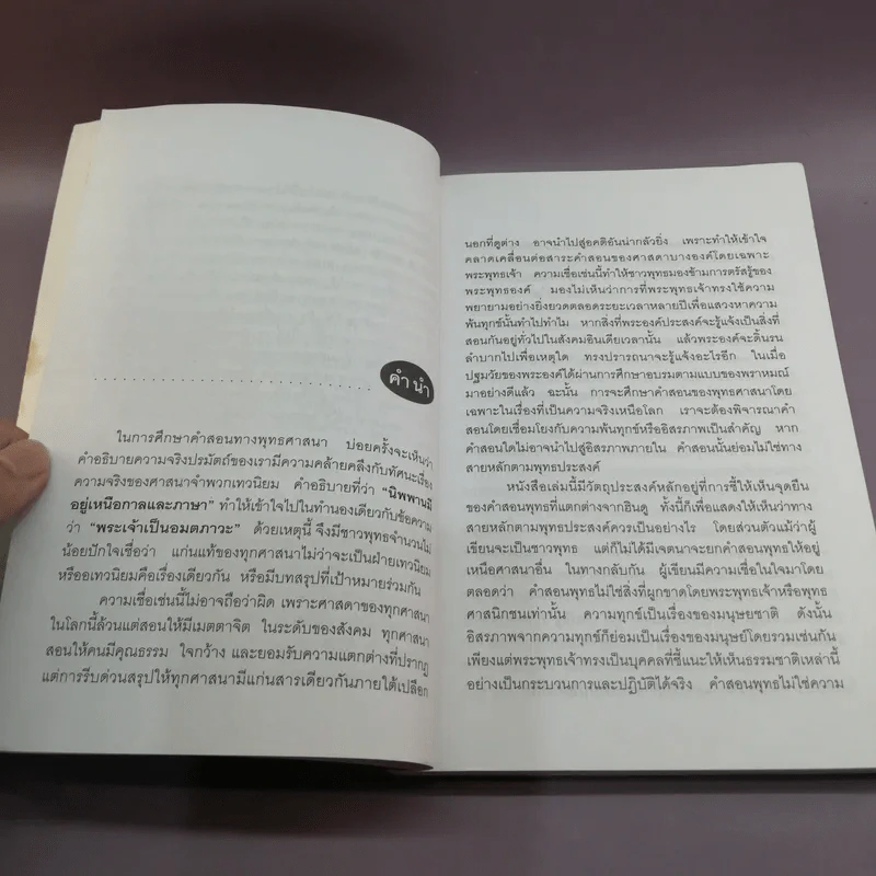 ฮินดู-พุทธ จุดยืนที่แตกต่าง - สุมาลี มหณรงค์ชัย รูปที่ 11
