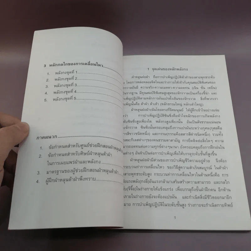ฝ่าหลุนฝอฝ่า วิธีสู่ความสำเร็จสมบูรณ์ - หลี่ หงจื้อ รูปที่ 11