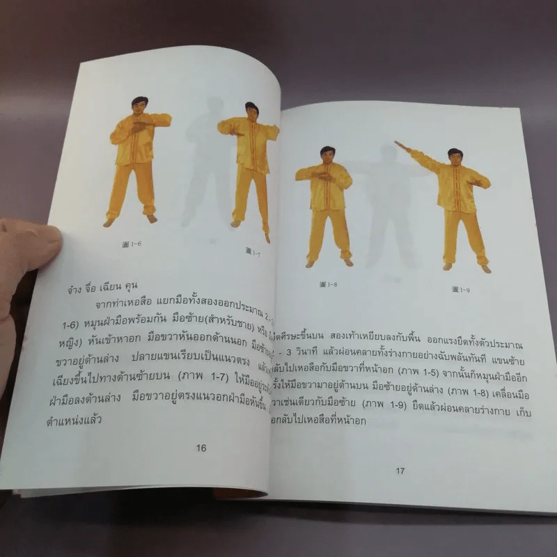 ฝ่าหลุนฝอฝ่า วิธีสู่ความสำเร็จสมบูรณ์ - หลี่ หงจื้อ รูปที่ 14