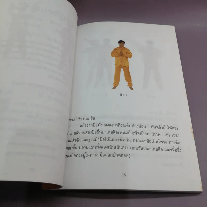 ฝ่าหลุนฝอฝ่า วิธีสู่ความสำเร็จสมบูรณ์ - หลี่ หงจื้อ รูปที่ 13