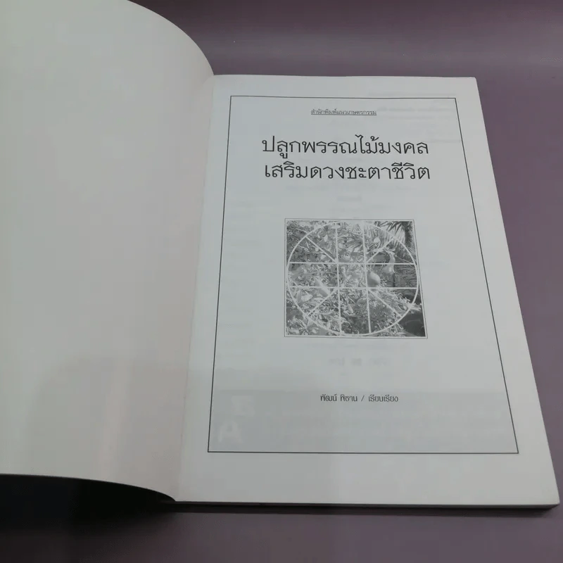 ปลูกพรรณไม้มงคลเสริมดวงชะตาชีวิต รูปที่ 6