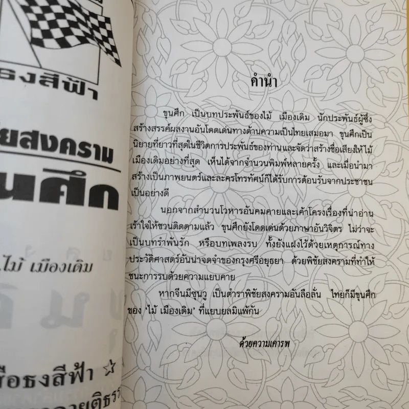พิชัยสงครามขุนศึก - ไม้ เมืองเดิม รูปที่ 9