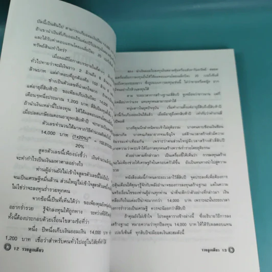 รวยลูกเดียว - ใบไผ่เขียว รูปที่ 11
