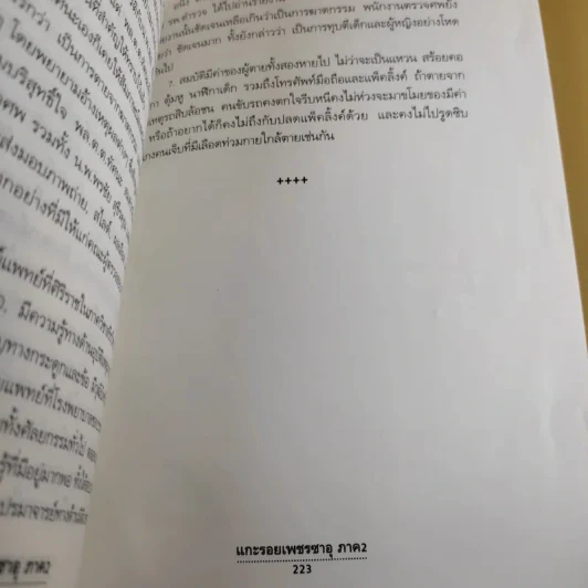 แกะรอยเพชรซาอุ ภาค 2 - พิฆาต 20 รูปที่ 13