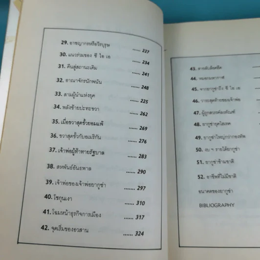 การเมืองทมิฬ ตอน อาณาจักรยากูซ่า - ทวีป วรดิลก รูปที่ 11