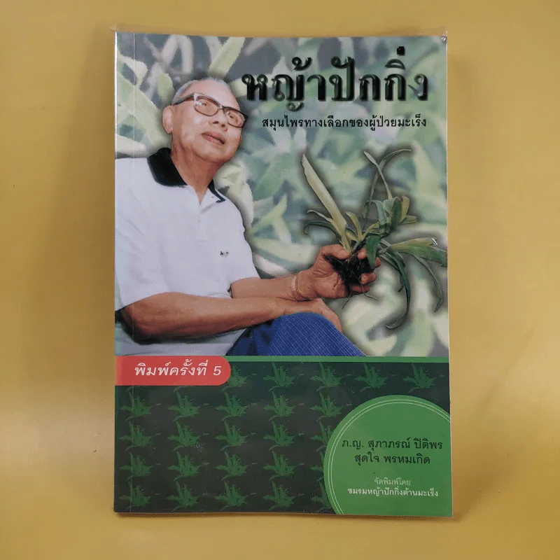 หญ้าปักกิ่ง สมุนไพรทางเลือกของผู้ป่วยมะเร็ง - ภ.ญ.สุภาภรณ์ ปิติพร, สุดใจ พรหมเกิด รูปที่ 1