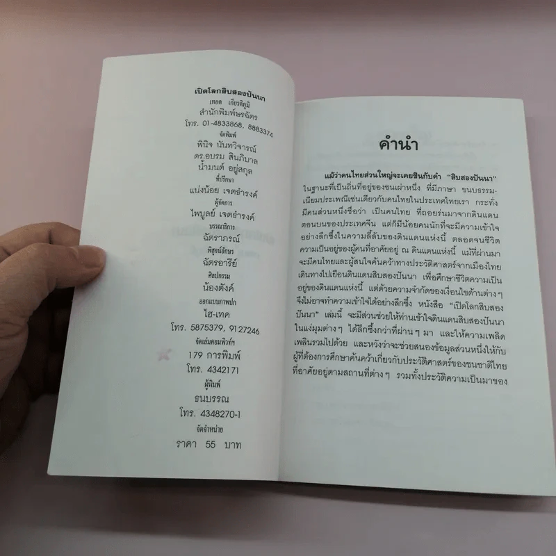 เปิดโลกสิบสองปันนา - เทอด เกียติภูมิ รูปที่ 7