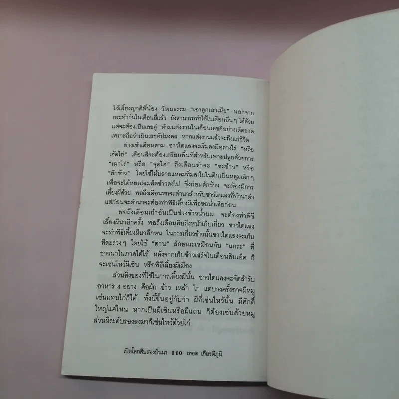 เปิดโลกสิบสองปันนา - เทอด เกียติภูมิ รูปที่ 11