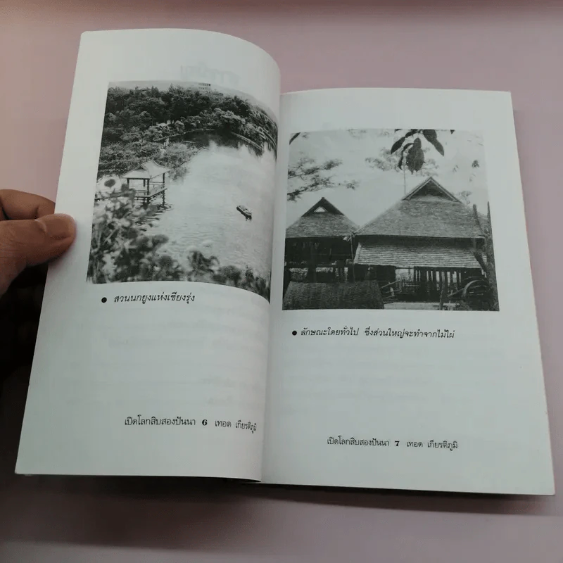 เปิดโลกสิบสองปันนา - เทอด เกียติภูมิ รูปที่ 9