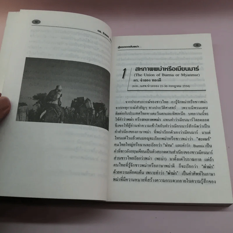 สู่ยอดดอยในพม่า - ดร.จำลอง ทองดี รูปที่ 13