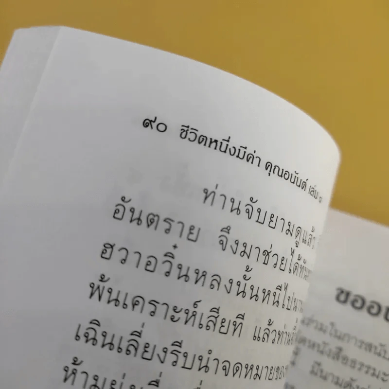 ชีวิตหนึ่งมีค่า คุณอนันต์ - ท่านจี้กงมหาเถระ รูปที่ 11