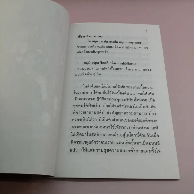 กรรมสนองกรรม - พระอาจารย์เปลี่ยน ปญญาปทีโป รูปที่ 8