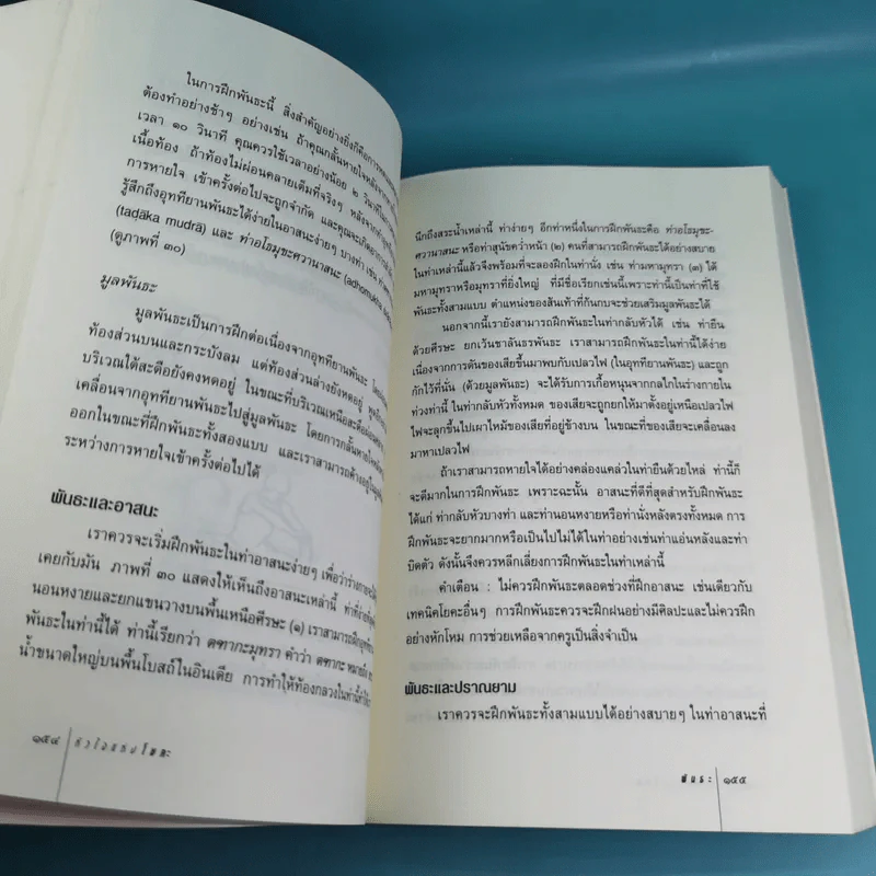 หัวใจแห่งโยคะ ค้นหาท่วงท่าและมรรคาเฉพาะตัว รูปที่ 14