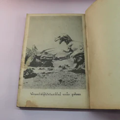คิงคอง'77 2 เล่มจบ - พงษ์ พินิจ รูปที่ 22