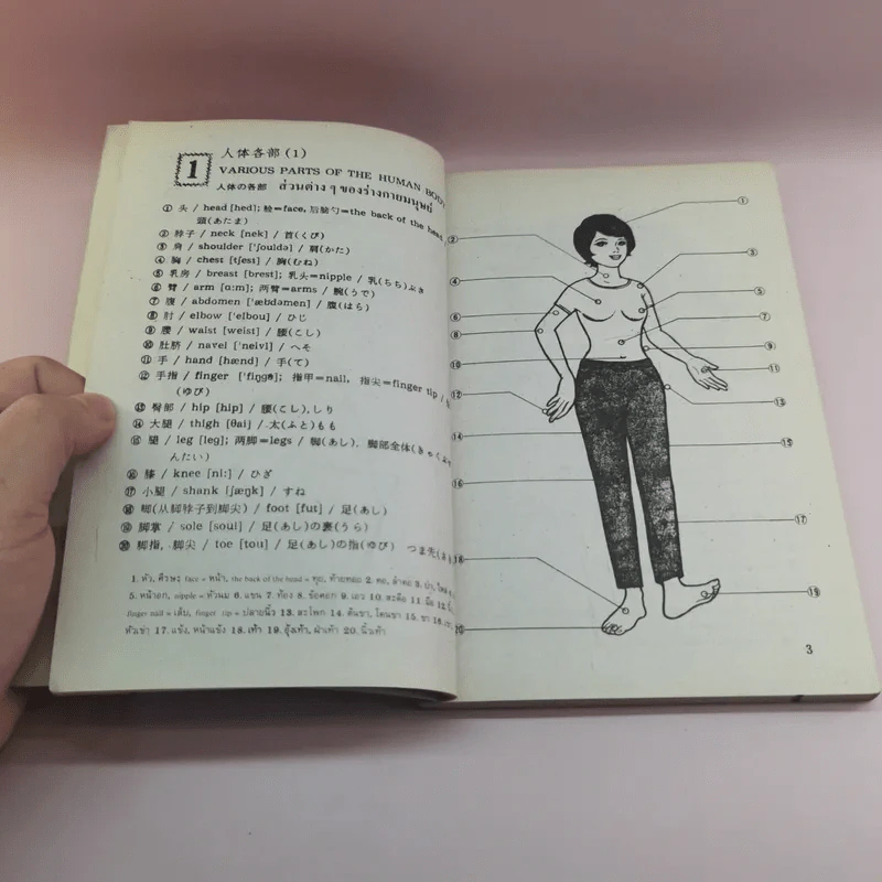 อังกฤษ-จีน-ญี่ปุ่น-ไทย - สำนักพิมพ์สายใจ รูปที่ 12
