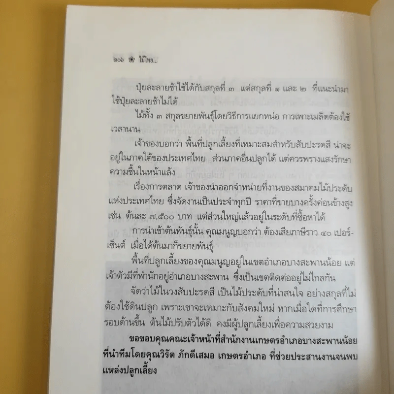 ไม้ไทยไม้ประดับ - พานิชย์ ยศปัญญา รูปที่ 12