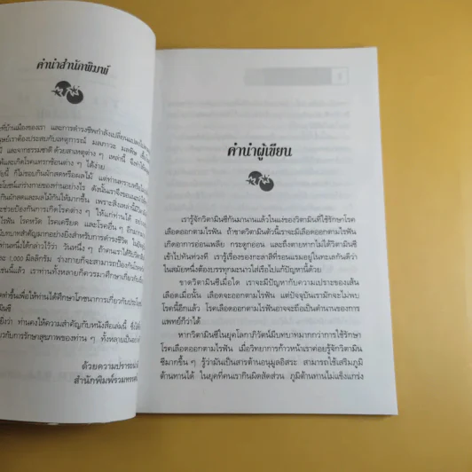วิตามินซี - ปาริชาติ สักกะทำนุ รูปที่ 10