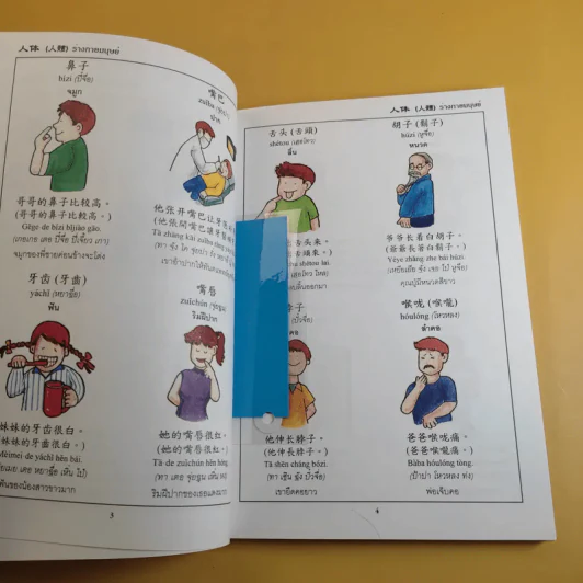เรียนภาษาจีนกลาง (1) จากคำศัพท์ และประโยคในชีวิตประจำวัน - นิรามิส เกียรติบุญศรี รูปที่ 12