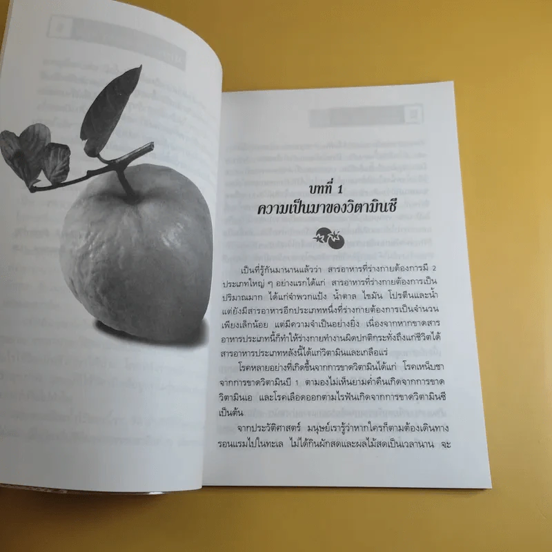 วิตามินซี - ปาริชาติ สักกะทำนุ รูปที่ 11