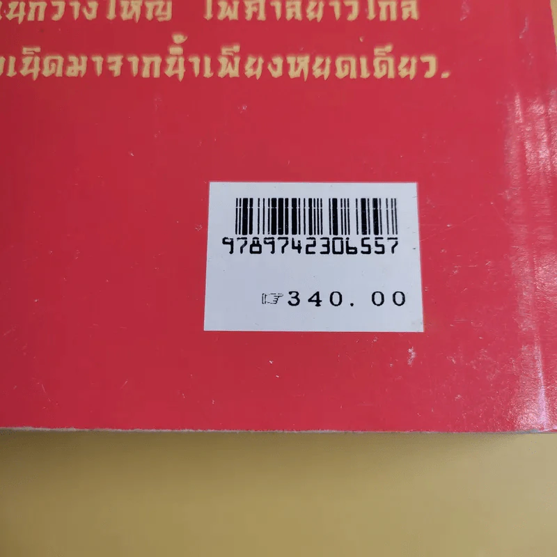 ร้อยแซ่พันธุ์มังกร - สุขสันต์ วิเวกเมธากร รูปที่ 17