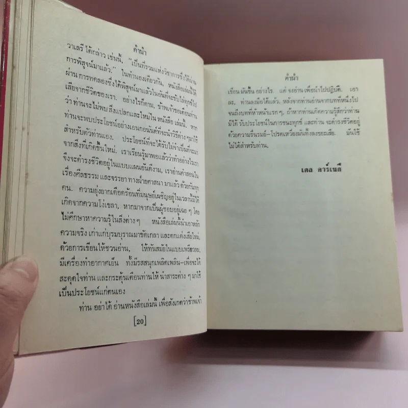 วิธีชนะทุกข์และสร้างสุข - เดล คาร์เนกี รูปที่ 16