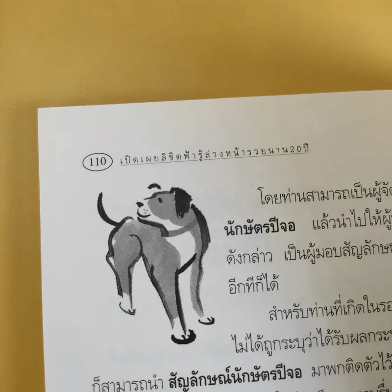เปิดเผยลิขิตฟ้า รู้ล่วงหน้ารวยนาน 20 ปี - อ.วิศิษฏ์ เตชะเกษม รูปที่ 13