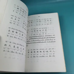 ภาษาจีน เล่ม 4,5,6 - รุ่ง เรืองอักษร แปล รูปที่ 13