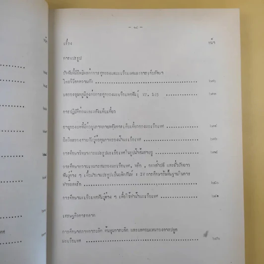 บทคัดย่อ งานวิจัยมะเขือเทศ รูปที่ 28