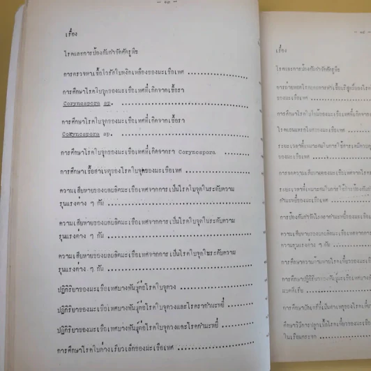 บทคัดย่อ งานวิจัยมะเขือเทศ รูปที่ 23