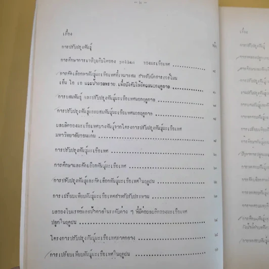 บทคัดย่อ งานวิจัยมะเขือเทศ รูปที่ 12