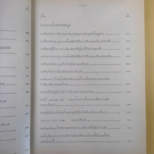 บทคัดย่อ งานวิจัยมะเขือเทศ รูปที่ 22