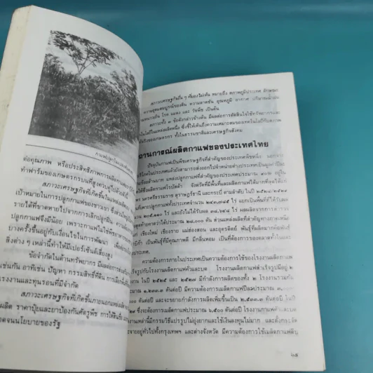 ฐานเกษตรกรรม (เฉพาะกิจที่ 22) กาแฟ - กองบรรณาธิการเฉพาะกิจ ฐานเกษตรกรรม รูปที่ 11