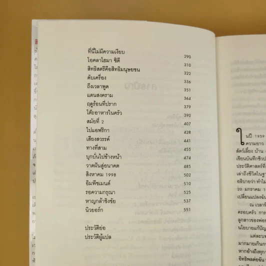 บันทึก ฮิลลารี คลินตัน รูปที่ 11
