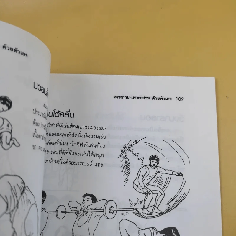เพาะกาย เพาะกล้าม ด้วยตัวเอง - ธีรพงศ์ บูรพาพันธ์ รูปที่ 12