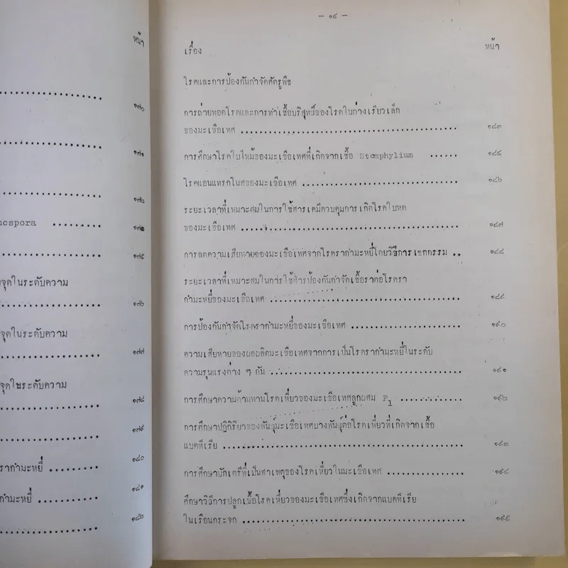 บทคัดย่อ งานวิจัยมะเขือเทศ รูปที่ 24