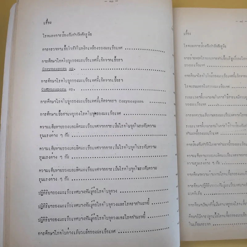 บทคัดย่อ งานวิจัยมะเขือเทศ รูปที่ 23
