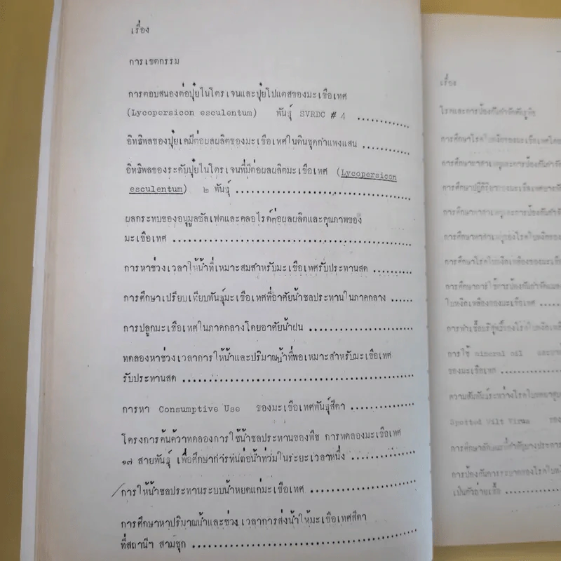 บทคัดย่อ งานวิจัยมะเขือเทศ รูปที่ 21