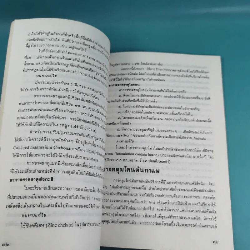 ฐานเกษตรกรรม (เฉพาะกิจที่ 22) กาแฟ - กองบรรณาธิการเฉพาะกิจ ฐานเกษตรกรรม รูปที่ 10
