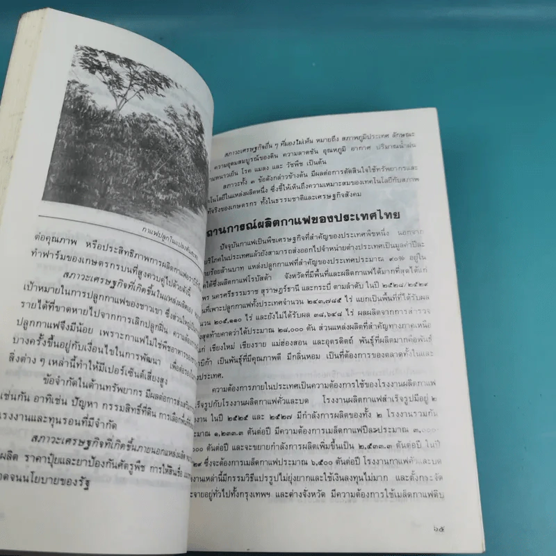 ฐานเกษตรกรรม (เฉพาะกิจที่ 22) กาแฟ - กองบรรณาธิการเฉพาะกิจ ฐานเกษตรกรรม รูปที่ 11