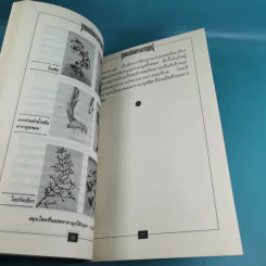 นอสตราดามุส เล่ม 1-5 ชุด Vision 2000 รูปที่ 15