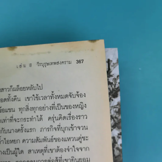 ศาสตราคู่กู้แผ่นดิน เล่ม 1,2,3,5.2,6,7,8,9 (ขาดเล่ม 4 และ 5.1) - มือเดียวค้ำฟ้า รูปที่ 51